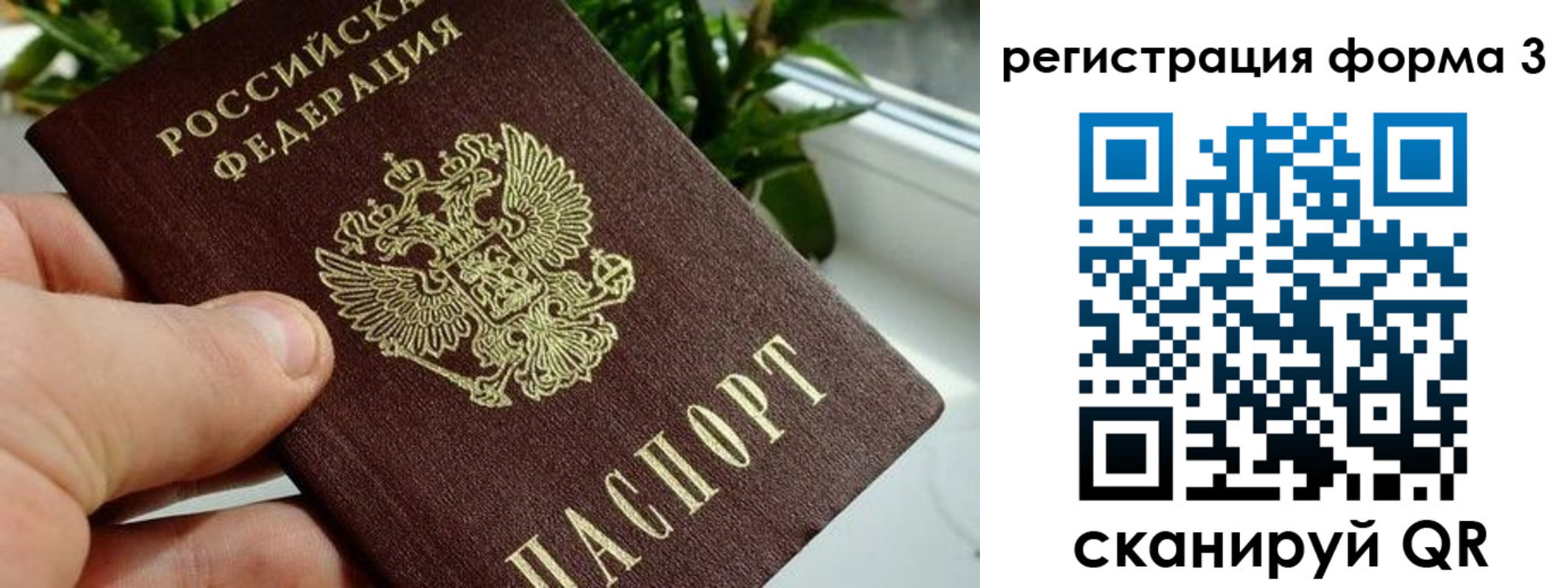 прописка штамп в Мурино